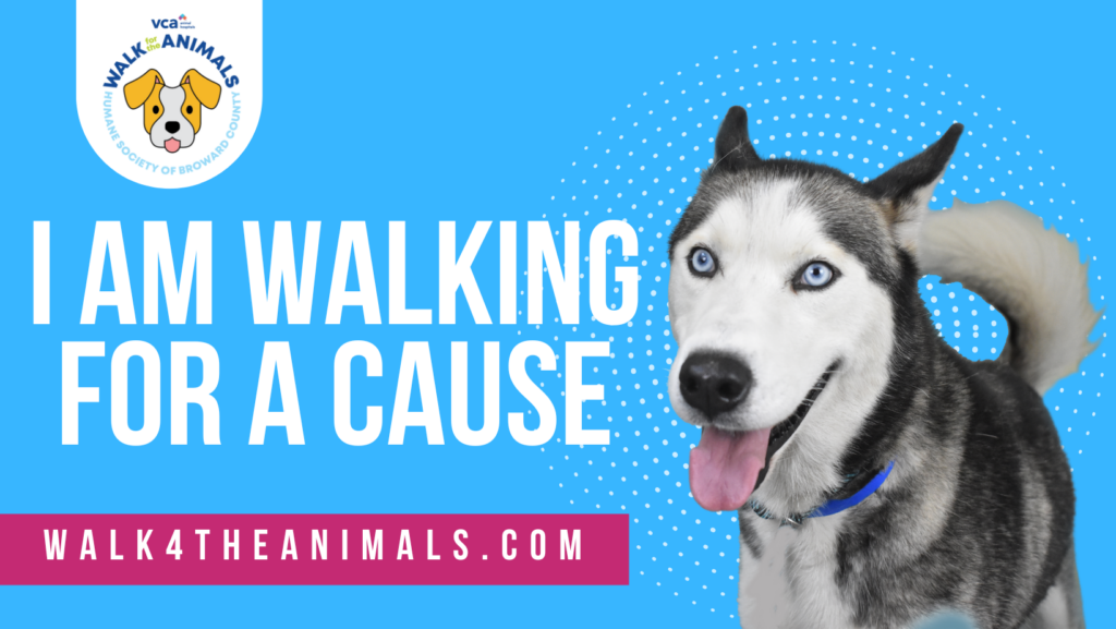 Broward County VBA Walk For The Animals