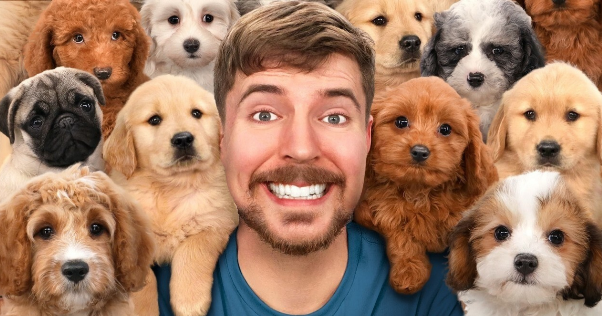 Mr. Beast - I Adopted 100 Dogs