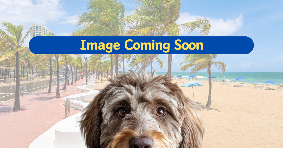 Image Coming Soon