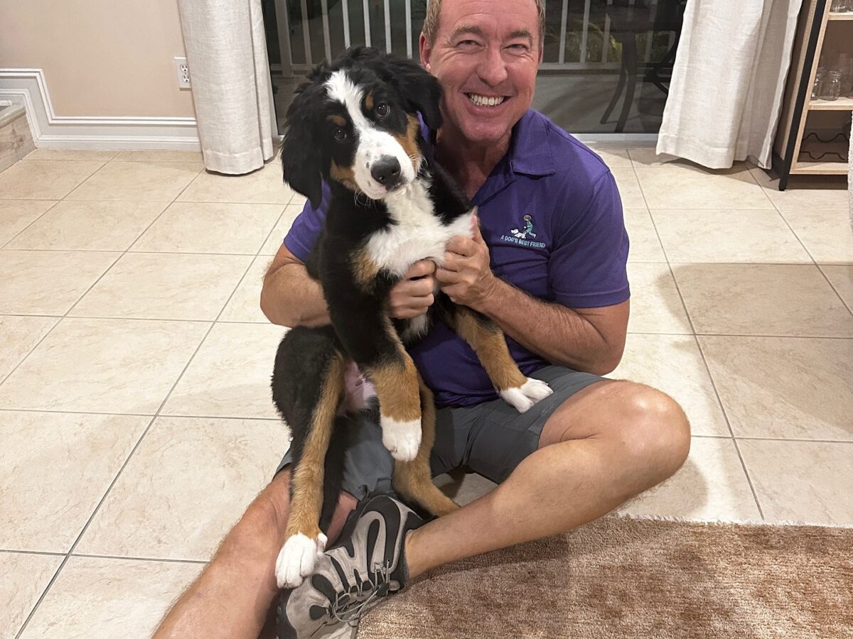 A Dog's Best Friend - Dog Trainers - Plantation