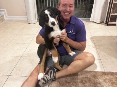 A Dog's Best Friend - Dog Trainers - Plantation