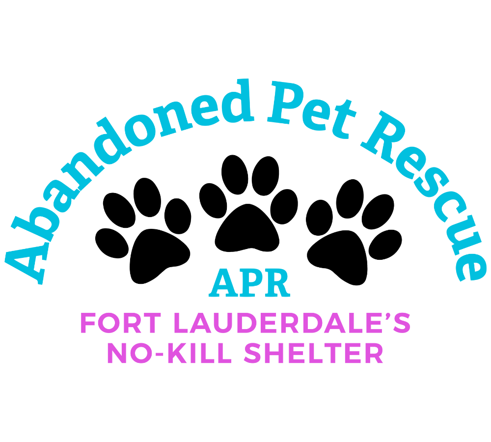 Abandoned Pet Rescue - Dog Rescues - Fort Lauderdale