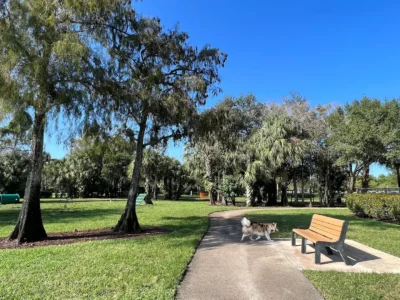 Barkland Dog Park - Dog Parks - Parkland