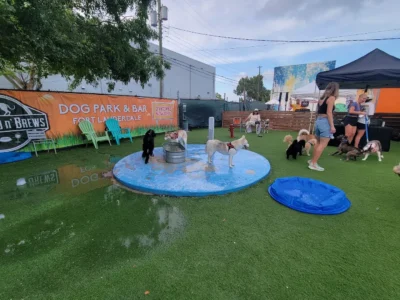 BarkYard n' Brews - Dog Parks - Fort Lauderdale