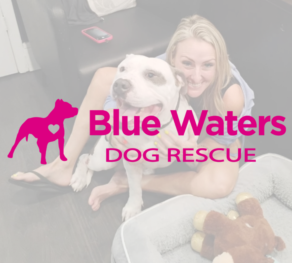 Blue Waters Dog Rescue - Dog Rescues - Pompano Beach