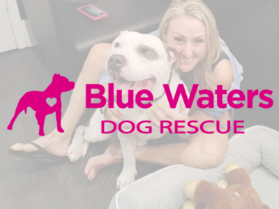Blue Waters Dog Rescue - Dog Rescues - Pompano Beach