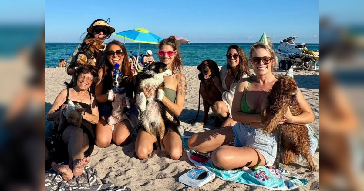 Boca Bark & Brunch