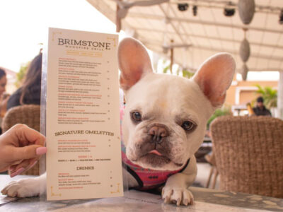 Brimstone - Dog-Friendly Dining - Pembroke Pines