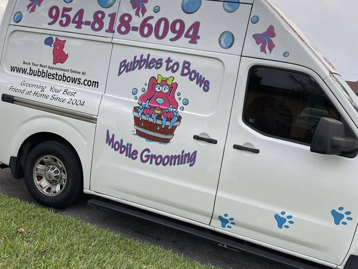 Bubbles to Bows - Dog Groomers - Sunrise