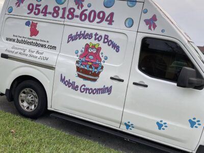 Bubbles to Bows - Dog Groomers - Sunrise