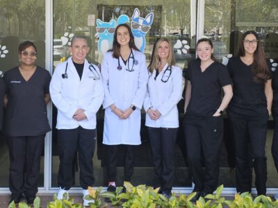 Coco-Park Animal Hospital - Vets & Animal Hospitals - Coconut Creek