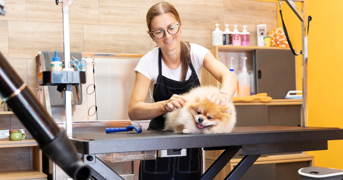 Do You Tip Your Groomer