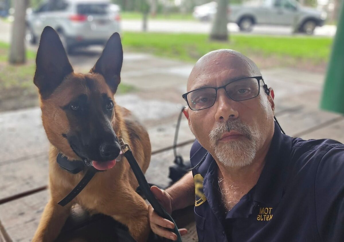 Dog Training Does Matter - Dog Trainers - Margate