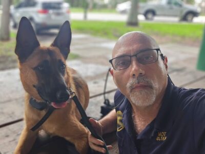 Dog Training Does Matter - Dog Trainers - Margate
