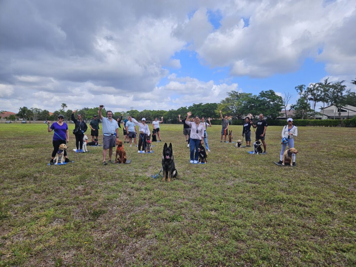 Dog Training Elite - Dog Trainers - Weston