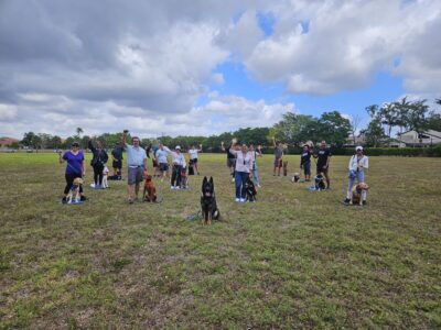 Dog Training Elite - Dog Trainers - Weston