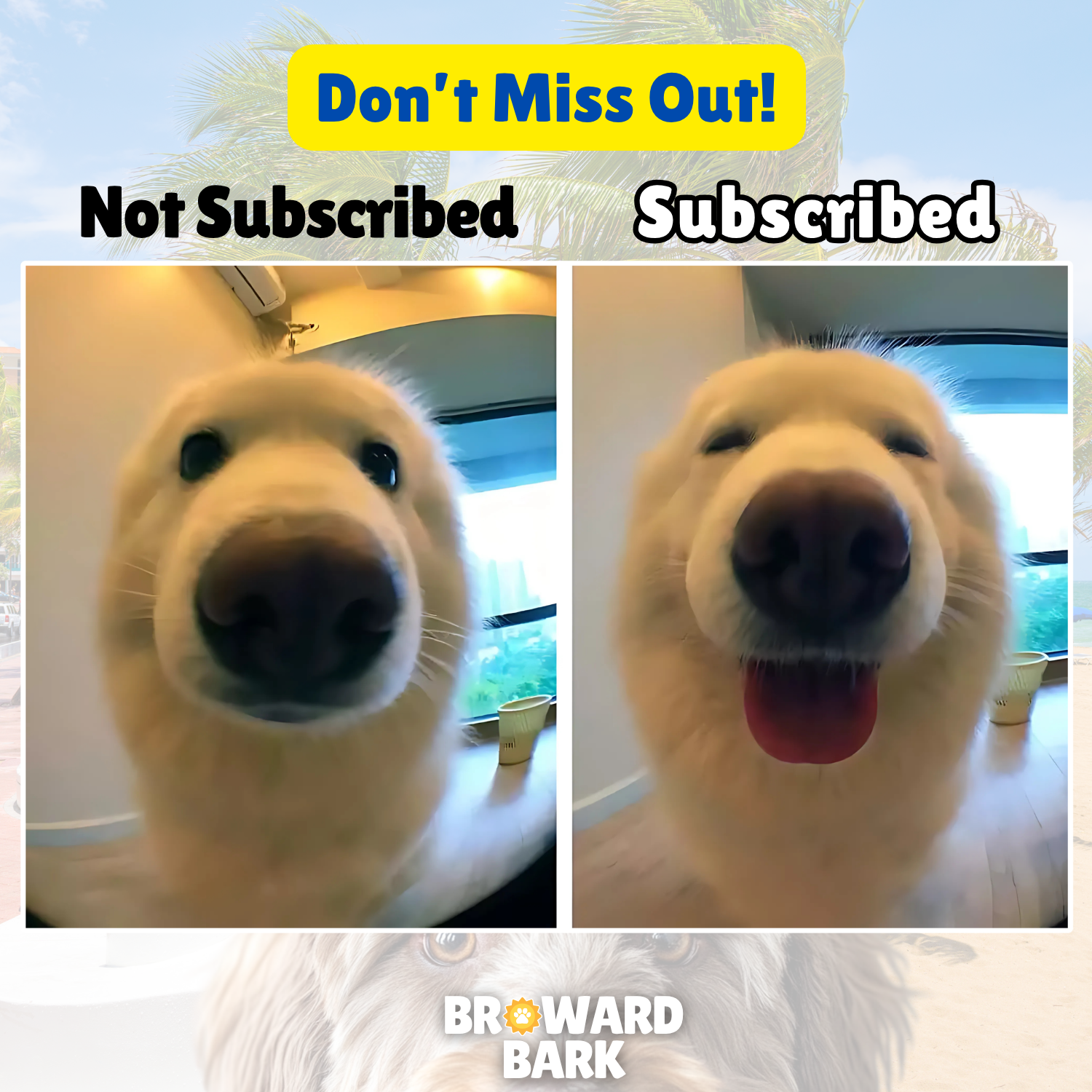 Don't miss out! Drop your digits!