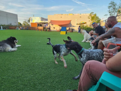 Duran's K9 Training - Dog Trainers - Plantation
