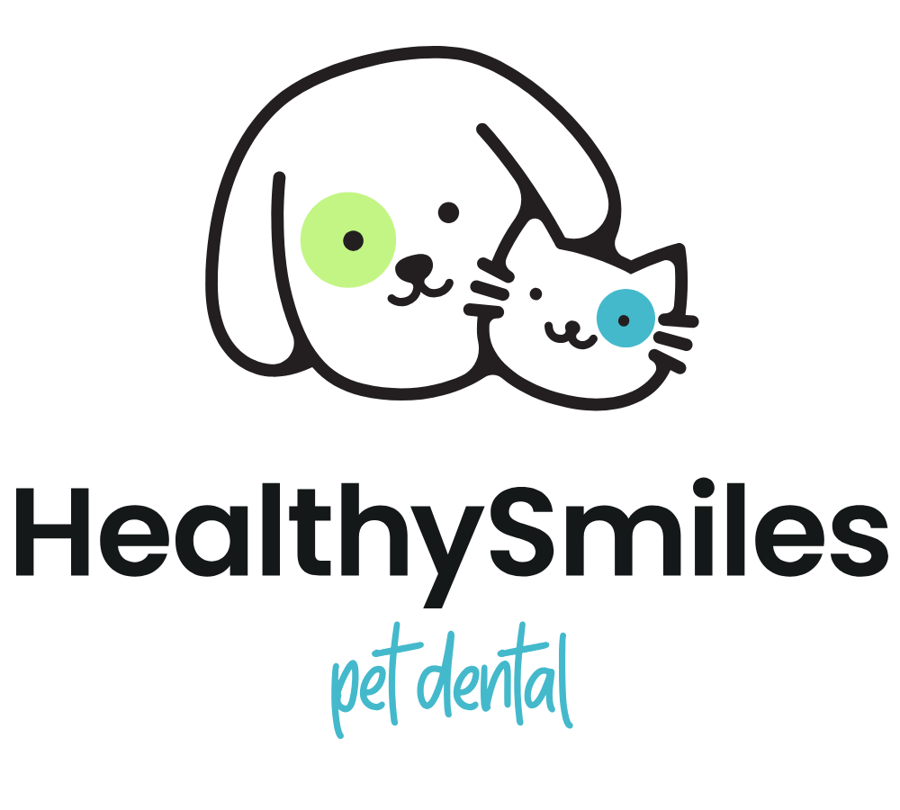 Healthy Smiles Pet Dental Spa - Fort Lauderdale - Dog Dental Care - Fort Lauderdale