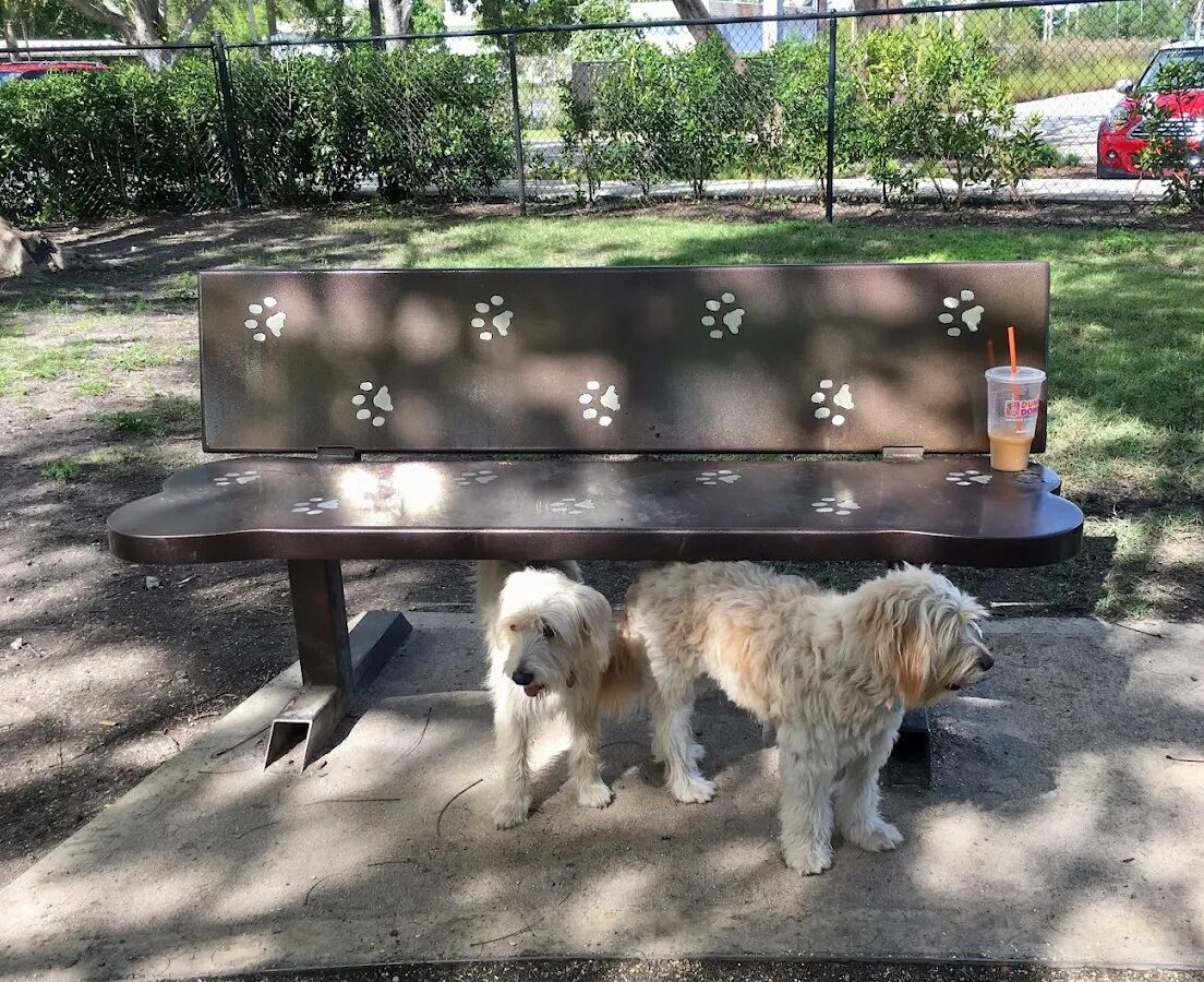 Hollywoof Dog Park - Dog Parks - Hollywood