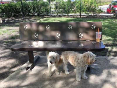 Hollywoof Dog Park - Dog Parks - Hollywood