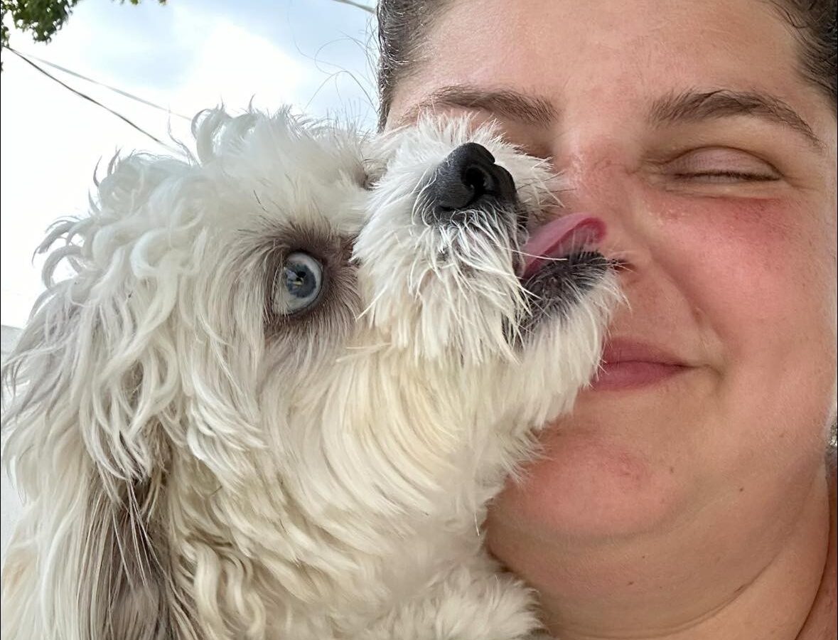 Jackie's Pet Sitting & Walking - Dog Sitters - Margate