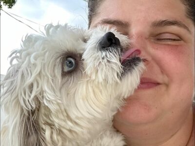 Jackie's Pet Sitting & Walking - Dog Sitters - Margate