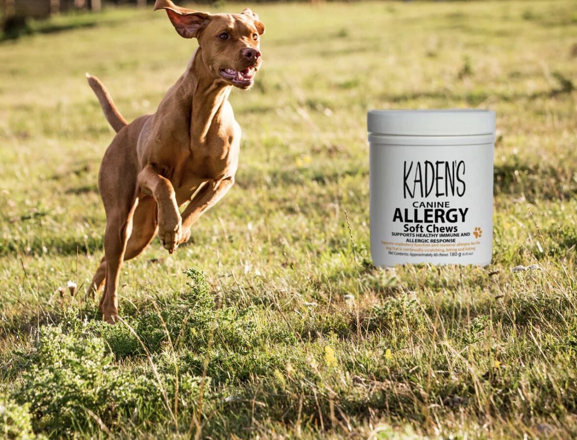 Kaden's Paws - Online Pet Stores - Coconut Creek
