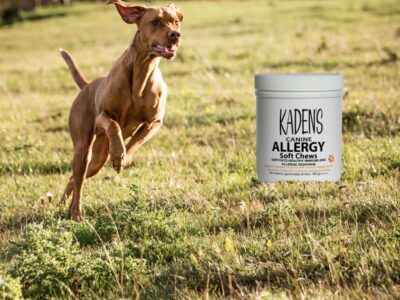 Kaden's Paws - Online Pet Stores - Coconut Creek