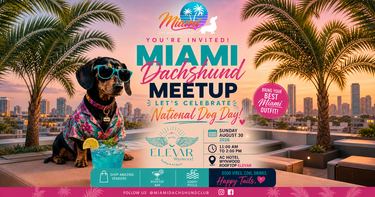 Miami Dachshund Meetup