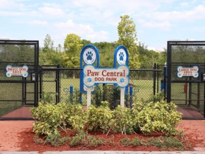 Paw Central Dog Park - Dog Parks - Miramar