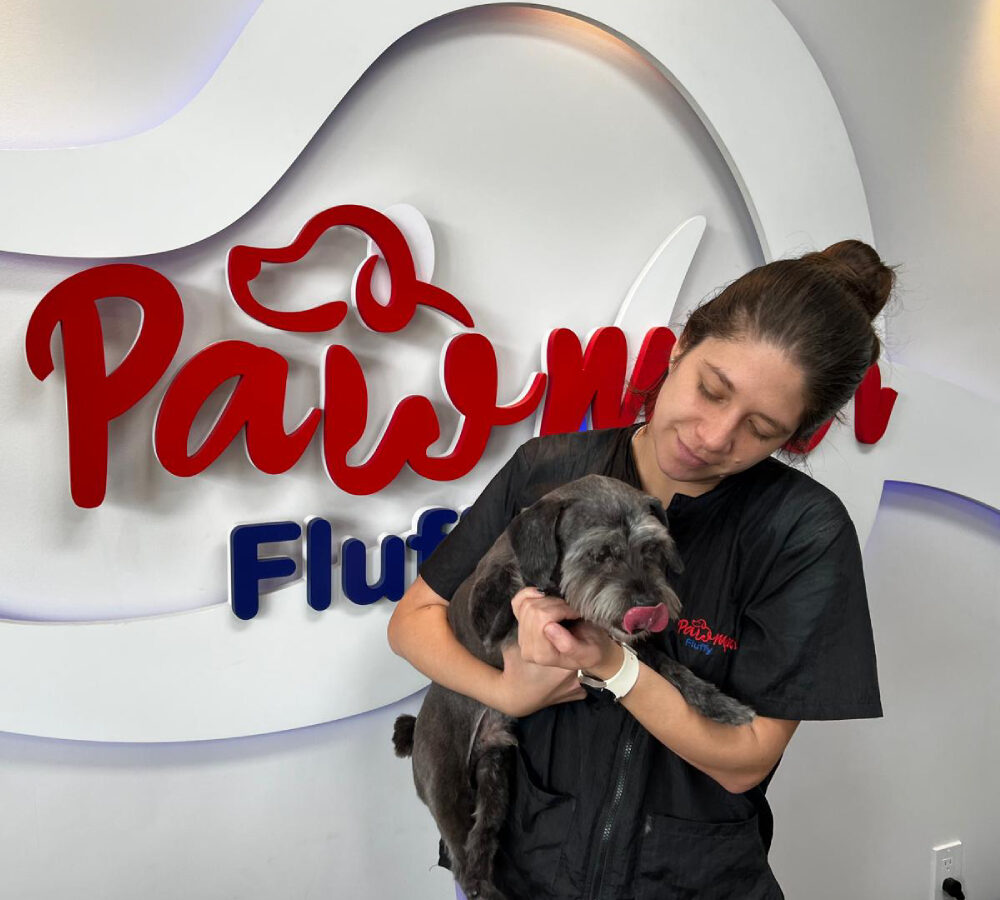 Pawmper Fluffy - Dog Groomers - Coral Springs