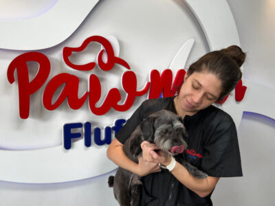 Pawmper Fluffy - Dog Groomers - Coral Springs