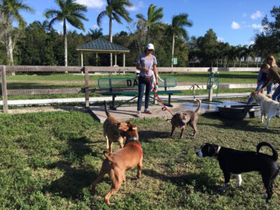 Peace Mound Dog Park - Dog Parks - Weston
