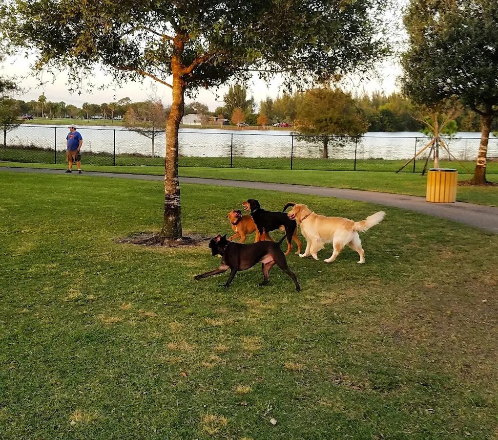 Peaceful Ridge Dog Park - Dog Parks - Davie