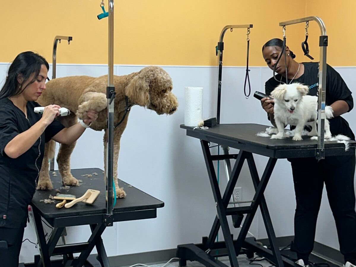 Pet Evolution - Pet Stores - Cooper City