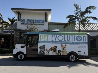 Pet Evolution - Pet Stores - Cooper City
