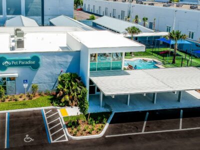 Pet Paradise - Coconut Creek - Dog Boarding - Coconut Creek