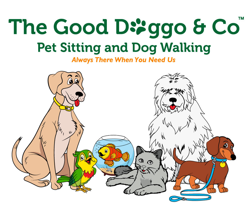 The Good Doggo & Co. - Dog Walkers - Plantation