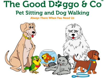 The Good Doggo & Co. - Dog Walkers - Plantation