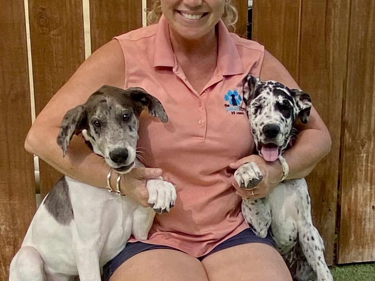 The Pawsitive K9 Coach, LLC - Dog Trainers - Margate