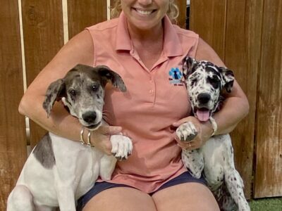 The Pawsitive K9 Coach, LLC - Dog Trainers - Margate