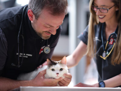 VEG ER For Pets - Vets & Animal Hospitals - Fort Lauderdale