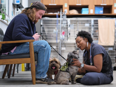 VEG ER For Pets - Vets & Animal Hospitals - Fort Lauderdale