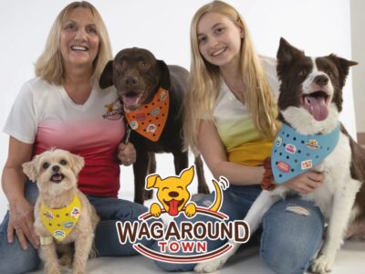 Wag Around Town - Online Pet Stores - Davie