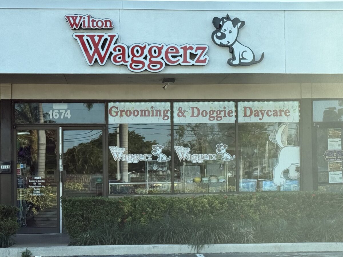 Wilton Waggerz - Dog Groomers - Oakland Park