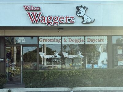Wilton Waggerz - Dog Groomers - Oakland Park