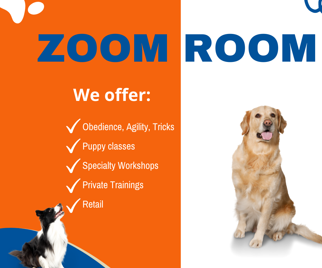 Zoom Room Dog Obedience & Agility Gym - Dog Trainers - Margate