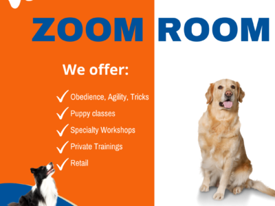 Zoom Room Dog Obedience & Agility Gym - Dog Trainers - Margate