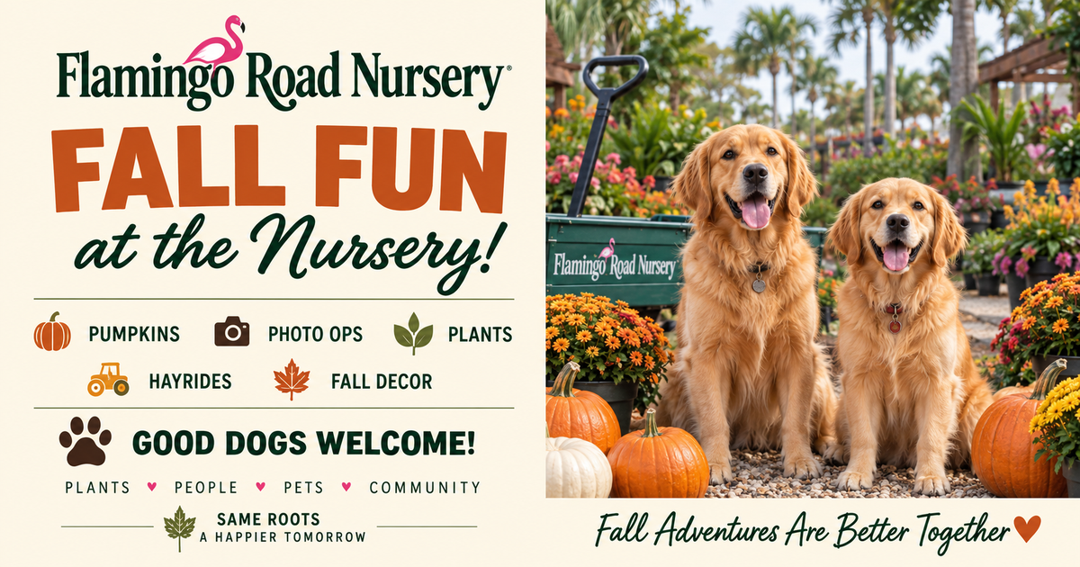 Fall Fun At The Nursery